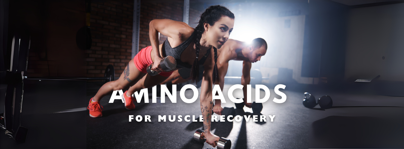 Best Amino Acids for Muscle Recovery: What to Take & Why It Works
