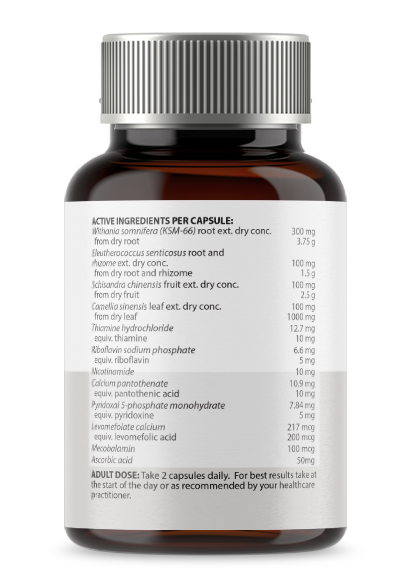 ATP Science STRESS ADAPT 60 Capsules