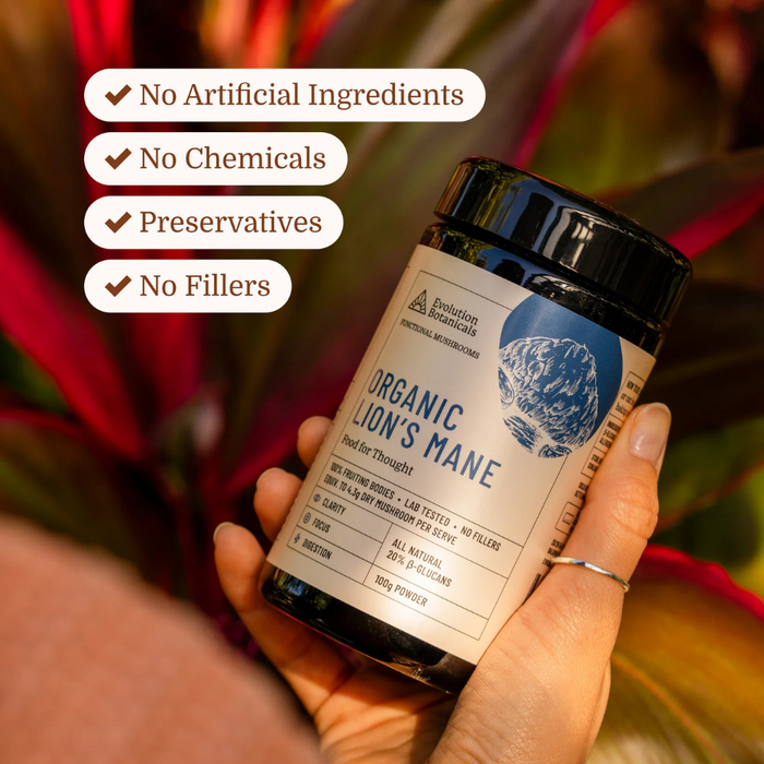 Evolution Botanicals Organic Lion’s Mane