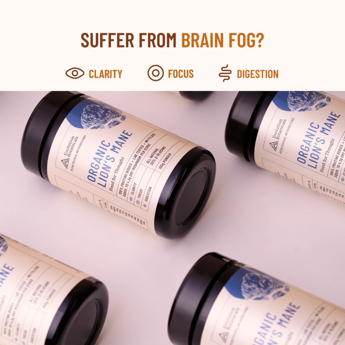 Evolution Botanicals Organic Lion’s Mane